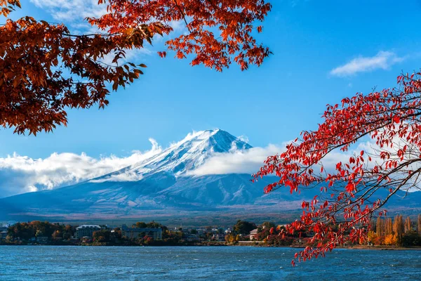 Mount Fuji sonbahar renk, Japonya