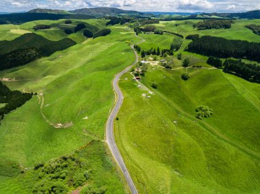 Rotorua, Yeni Zelanda'hill yükseltmelerdeki yolculuk.