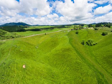 Havadan görünümü koyun çiftliği hill, Rotorua, Yeni Zelanda
