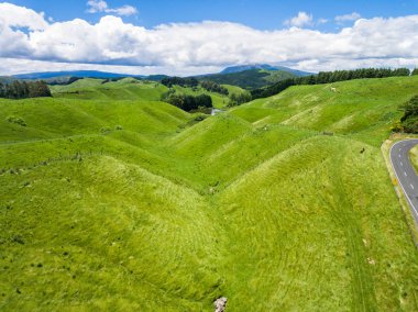 Havadan görünümü koyun çiftliği hill, Rotorua, Yeni Zelanda