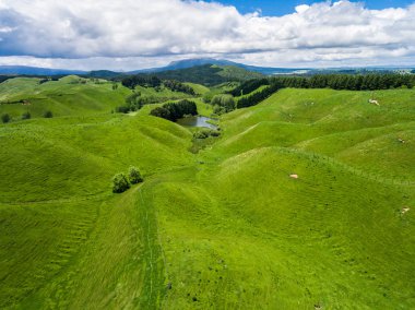 Havadan görünümü koyun çiftliği hill, Rotorua, Yeni Zelanda