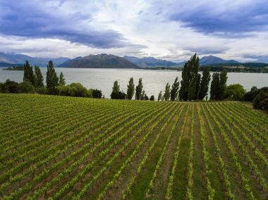 Bağ Gölü Wanaka, Yeni Zelanda