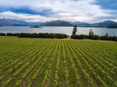 Bağ Gölü Wanaka, Yeni Zelanda