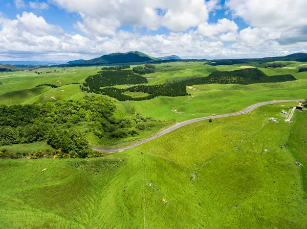 Aerial view sheep farm hill, Rotorua, New Zealand — Stock Photo, Image