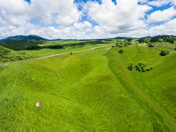 Aerial view sheep farm hill, Rotorua, New Zealand — Stock Photo, Image