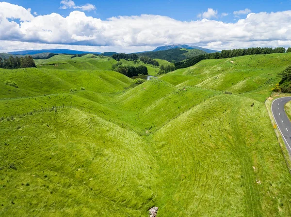 Havadan görünümü koyun çiftliği hill, Rotorua, Yeni Zelanda