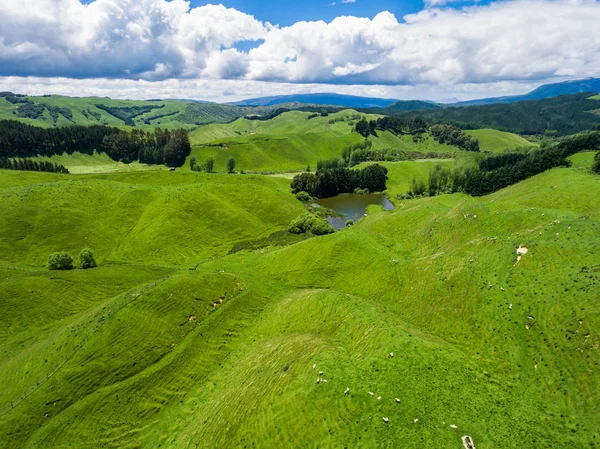 Havadan görünümü koyun çiftliği hill, Rotorua, Yeni Zelanda