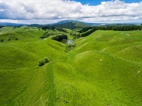 Aerial view sheep farm hill, Rotorua, New Zealand — Stock Photo, Image