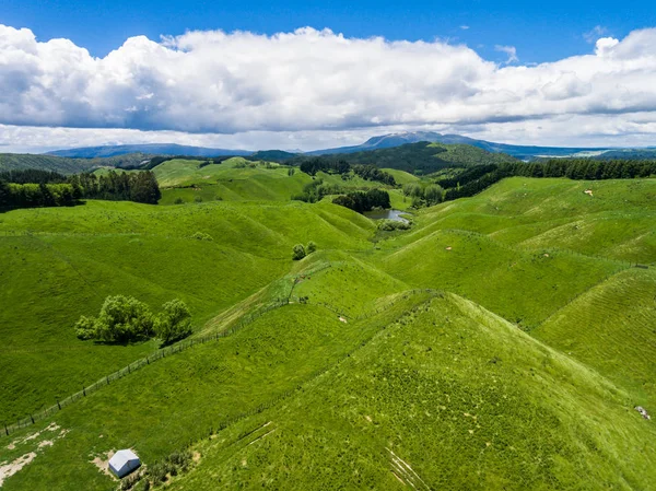 Aerial view sheep farm hill, Rotorua, New Zealand — Stock Photo, Image