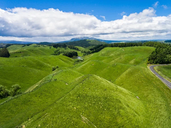 Havadan görünümü koyun çiftliği hill, Rotorua, Yeni Zelanda