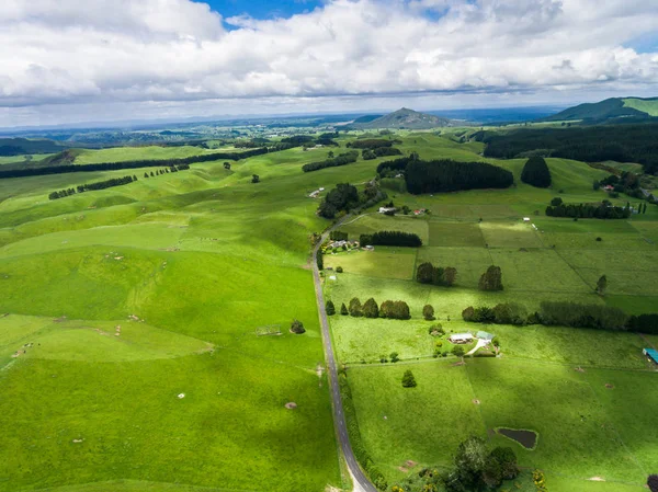 Aerial view sheep farm hill, Rotorua, New Zealand — Stock Photo, Image