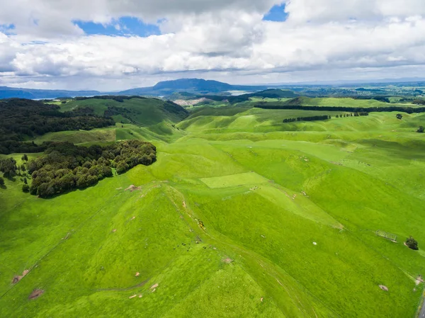 Havadan görünümü koyun çiftliği hill, Rotorua, Yeni Zelanda