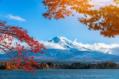 Mount Fuji sonbahar renk, Japonya