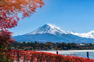 Mount Fuji sonbahar renk, Japonya