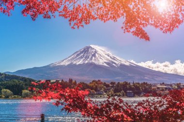 Mount Fuji sonbahar renk, Japonya