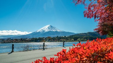 Mount Fuji sonbahar renk, Japonya
