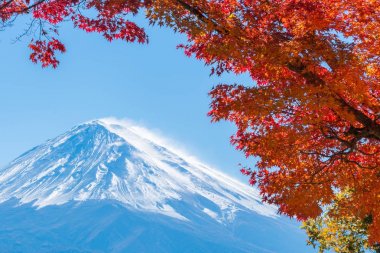 Mount Fuji sonbahar renk, Japonya