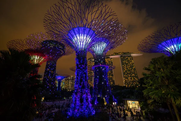 Panoramę Singapuru noc w ogrodach nad zatoką — Zdjęcie stockowe