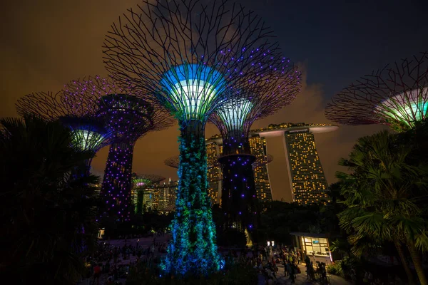 Singapur gece manzarası Gardens Bay tarafından
