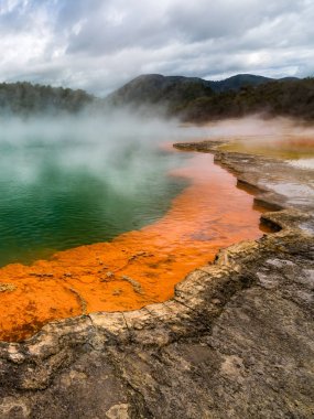 Şampanya havuzu Rotorua, Yeni Zelanda