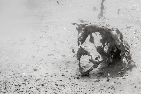 Hot Mud Pool in Rotorua, New Zealand