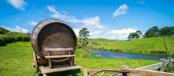 Barril de vinho no campo de grama verde — Fotografia de Stock