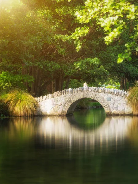 Красивый мост в Ботаническом саду — стоковое фото