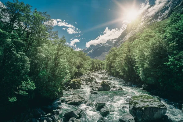 Rocky river landscape in rainforest, New Zealand — Stock Photo, Image