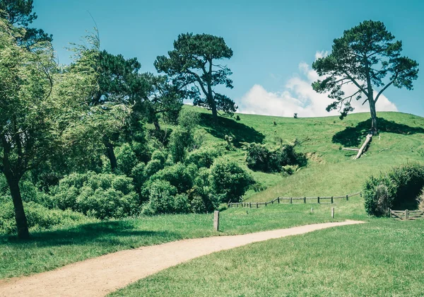 Campo de grama verde na paisagem do campo — Fotografia de Stock