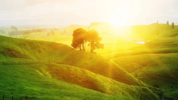 Ранковий схід сонця на зеленій траві фермі на пагорбі . — стокове фото
