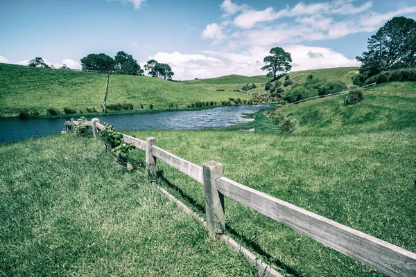 Зелена трава поля в сільській місцевості в старовинні тони — стокове фото