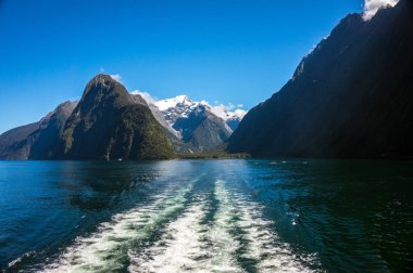 Milford Sound, Yeni Zelanda 'da feribot gezisi.