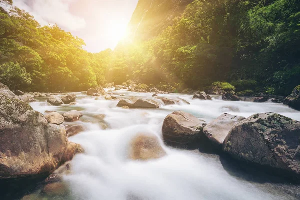 Rocky river landskap i regnskog, Nya Zeeland — Stockfoto