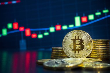 Bitcoin ve Cryptocurrency Döviz Piyasası işlem