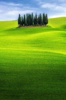 Green Hills manzara Toskana, İtalya