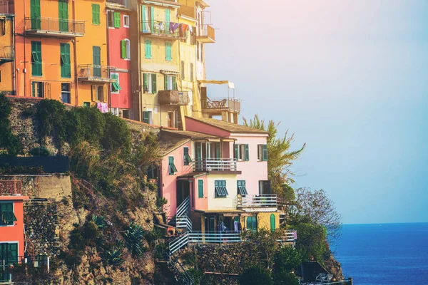 Красочные дома в Manarola, Cinque Terre - Италия — стоковое фото