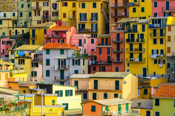 Kolorowe domy w Manaroli, Cinque Terre - Włochy — Zdjęcie stockowe
