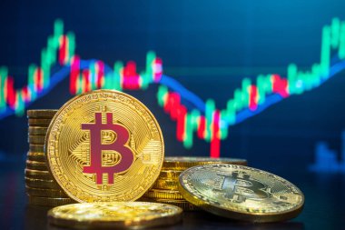 Bitcoin ve Cryptocurrency Döviz Piyasası işlem