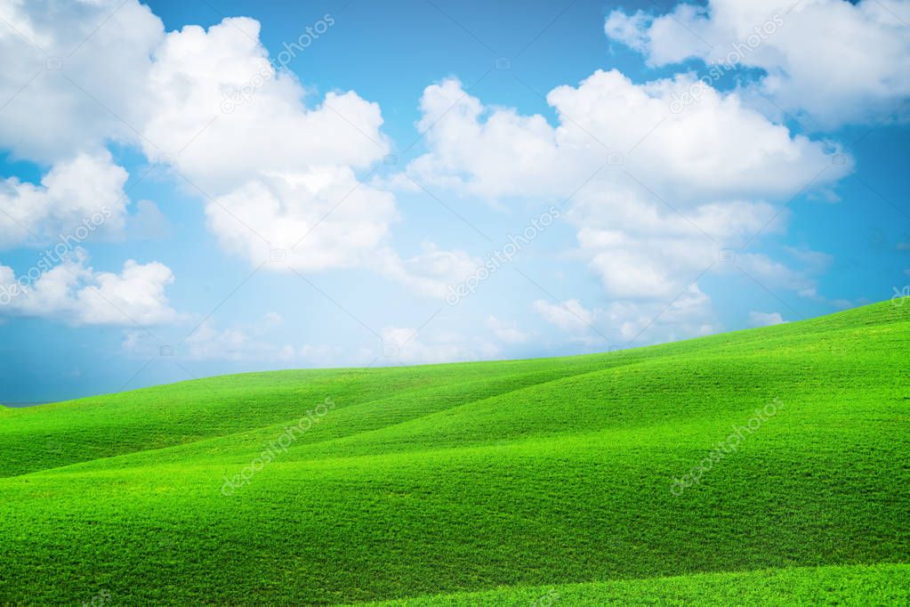 Green grass hills landscape with blue sky summer.