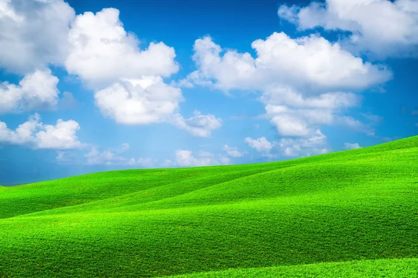 Зеленая трава холмы пейзаж с голубым небом летом . — стоковое фото