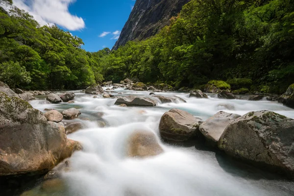 Rocky river fekvő esőerdők, Új-Zéland — Stock Fotó