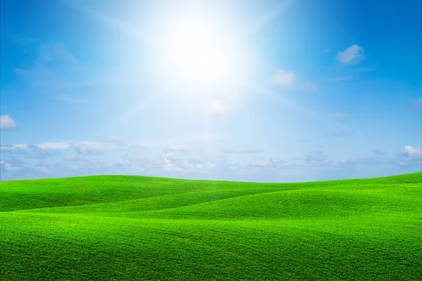 Herbe verte collines paysage avec ciel bleu été . — Photo