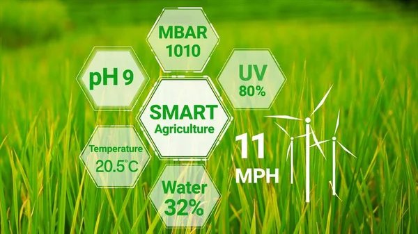 Tecnología Inteligente Agricultura Digital Mediante Gestión Futurista Recolección Datos Sensores —  Fotos de Stock