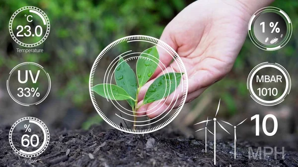 미래적 데이터 관리에 스마트 디지털 기술은 농작물의 수확의 통제하기 지능에 — 스톡 사진