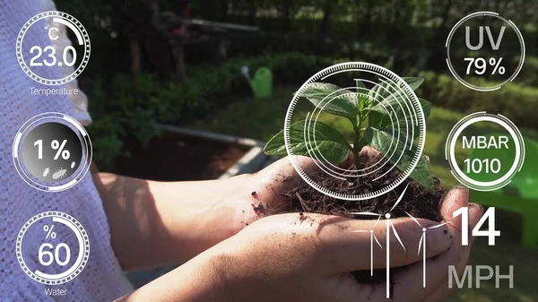 Smart Digital Agriculture Technology Futuristic Sensor Data Collection Management Artificial — Stock Photo, Image