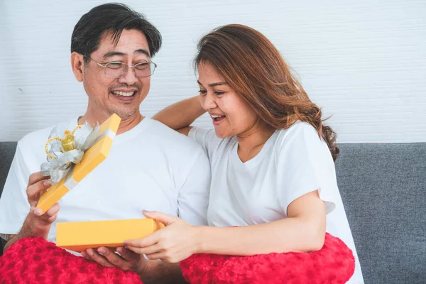 Feliz Asiático Casal Sênior Ter Bom Tempo Casa Reforma Dos — Fotografia de Stock