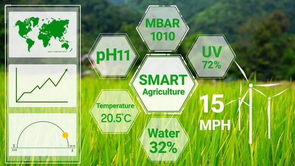 Tecnología Inteligente Agricultura Digital Mediante Gestión Futurista Recolección Datos Sensores — Foto de Stock