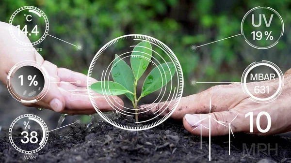 Smart Digital Agriculture Technology Futuristic Sensor Data Collection Management Artificial — Stock Photo, Image