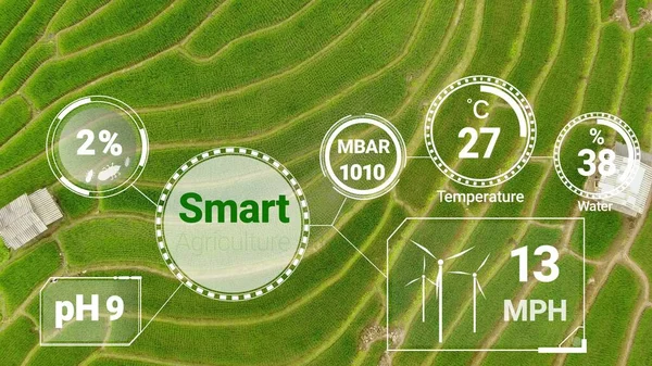 Tecnología Inteligente Agricultura Digital Mediante Gestión Futurista Recolección Datos Sensores —  Fotos de Stock