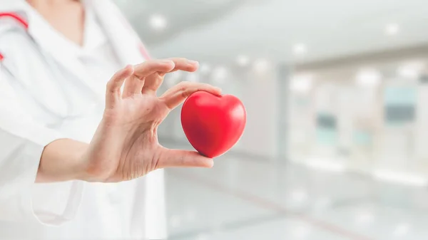 Doctor holding a red heart at hospital office. Medical health care and doctor staff service concept.